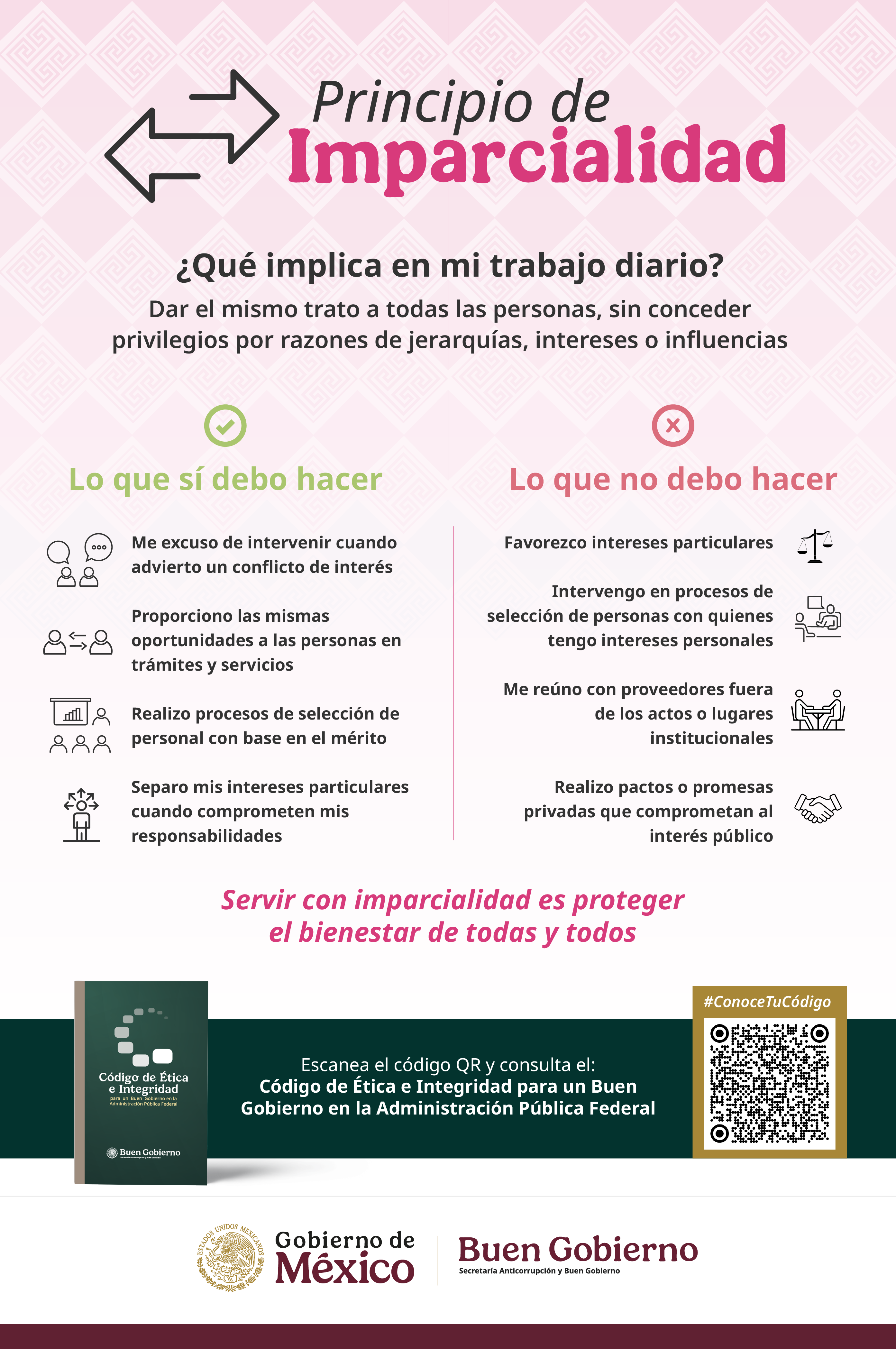 Noticia 1: Abejorros en Invernadero